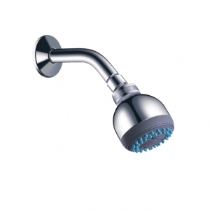 dau-sen-tam-moen-131741