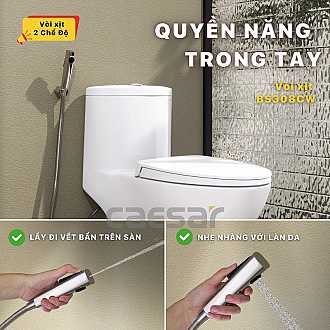 voi-xit-ve-sinh-caesar-bs308cw-2-che-do